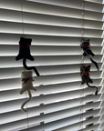 Cat Clips on the blinds.