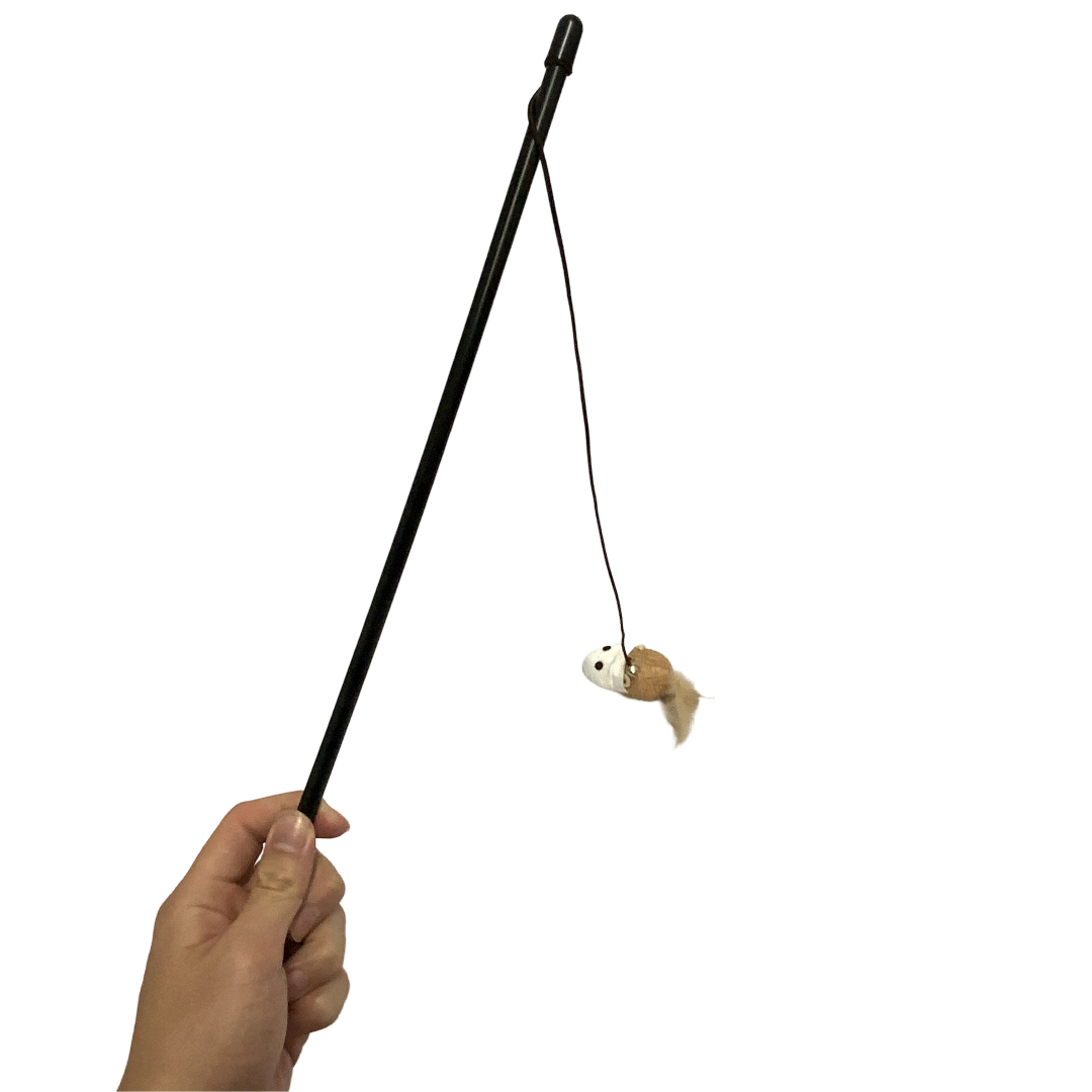 Cat Toy with Fur Mouse